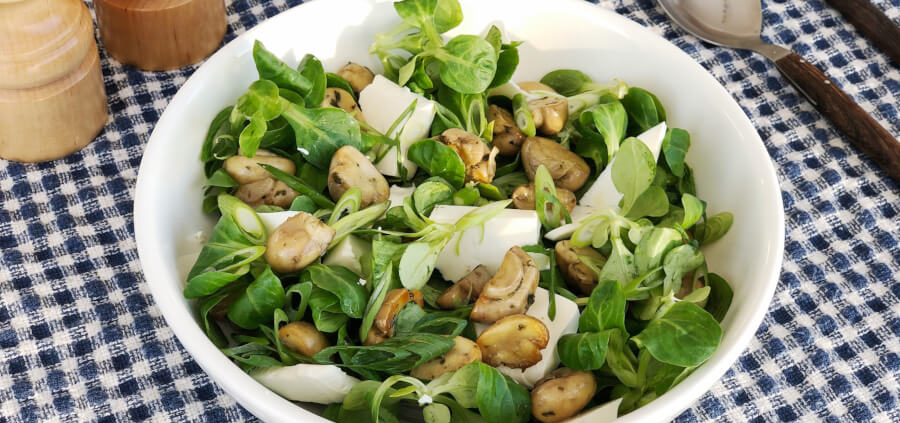 Grøn salat med champignon, feta og citron