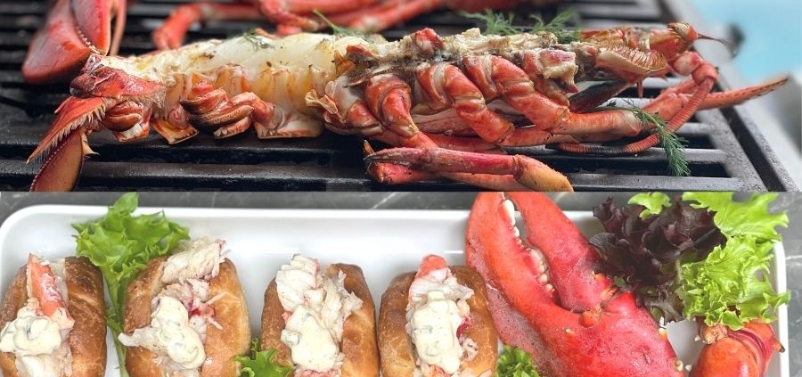 Lobsterroll - grillet luksus hummer hotdog